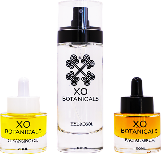 The Ritual: Cleansing Oil, Hydrosol and Facial Serum together